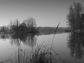 Černobíle… - Turyňský rybník