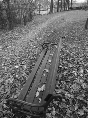 Černobíle… - Usedající se podzim