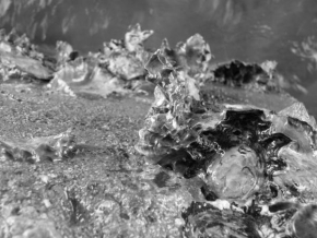 Černobíle… - Dary mořského přílivu