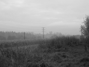 Černobíle… - Podzimní melancholie