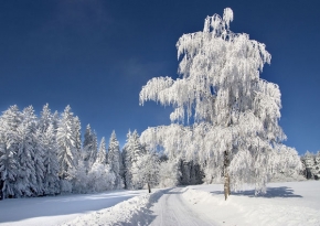 Kouzlení zimy - Šumavské království