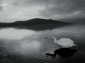 Černobíle… - Fotograf roku - kreativita - Nové Mlýny