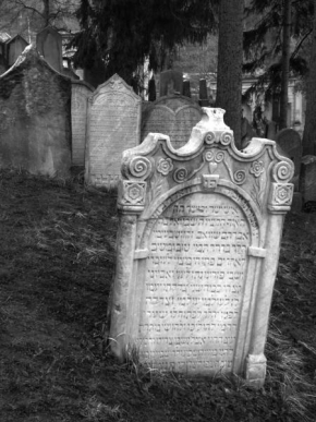 Černobíle… - Jaro na židovském hřbitově