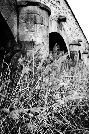 Černobíle… - Most utopený v rákosu