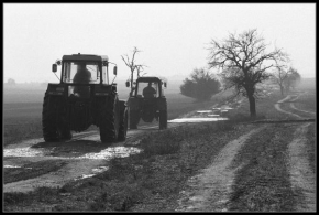 Černobíle… - Cestou na pole