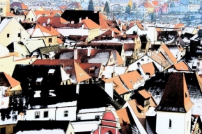 Rudolf Pischek - Střechy města