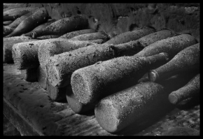 Černobíle… - Archivní vína 1963