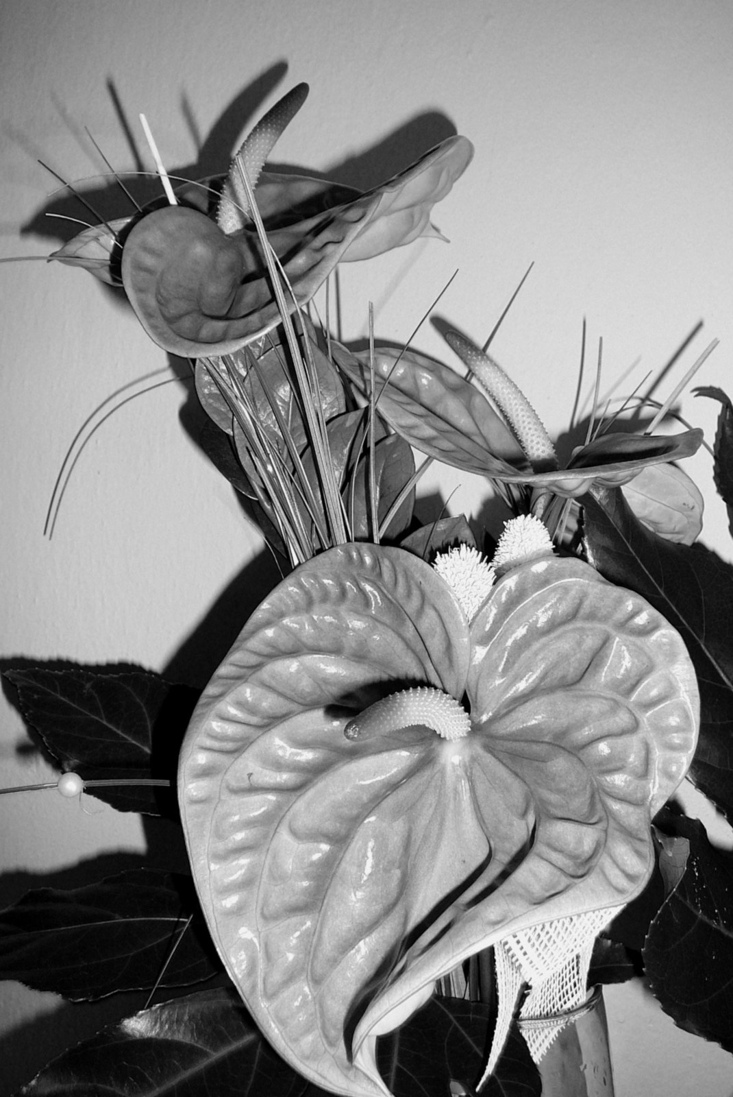I černobílá kytice může být krásná