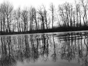 Černobíle… - Spící řeka