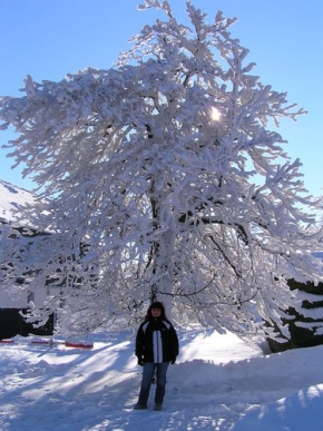 Kouzlení zimy - Strom