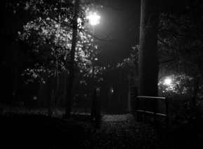 Černobíle… - Lávka v parku