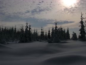 Kouzlení zimy - Zima v lese