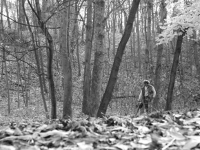 Černobíle… - úklid lesa