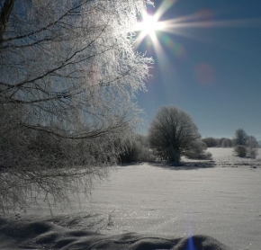 Kouzlení zimy - Šumavské dopolední sluníčko