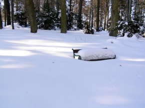 Kouzlení zimy - Zasněžená příroda