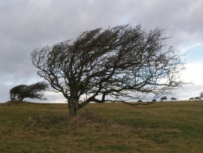 Stromy - Fotograf roku - kreativita - Foukej, foukej větříčku