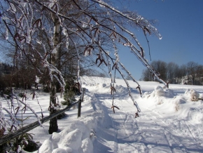 Kouzlení zimy - Ledy na větvi