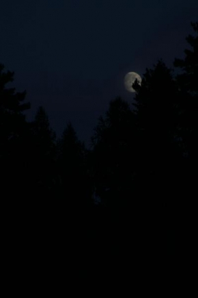 Po setmění - Horror Moon