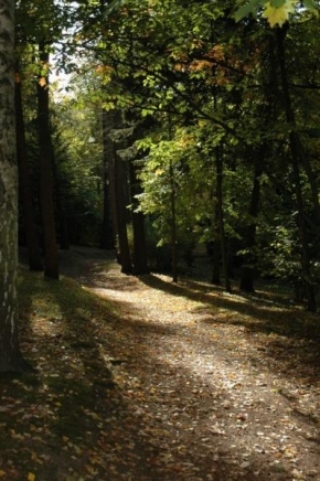 Stromy - Park Štěpánka, Mladá Boleslav
