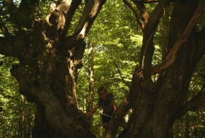Barbora Legerská - Objatie stromu