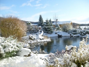 Královna zima - Zasněžená zahrada