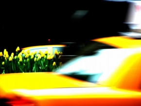 Úlovky z dovolené - Yellow (taxi)