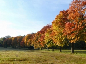Stromy - Barevný podzim