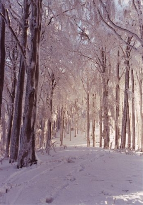 Kouzlení zimy - Zima v Beskydech