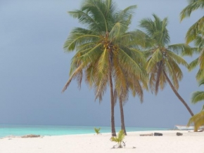 Úlovky z dovolené - Karibik