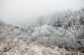 Michaela Křepelová - I bez sněhu je zima krásná