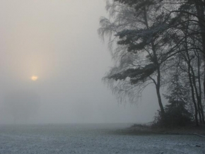 Královna zima - Ranní mlha