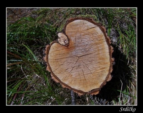 Stromy - Dřevěné srdíčko
