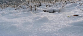 Královna zima - Třpytky ve šněhu