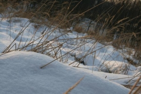 Královna zima - Sněhová pokrývka