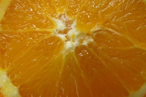 Makrofotografie - Pomeranč