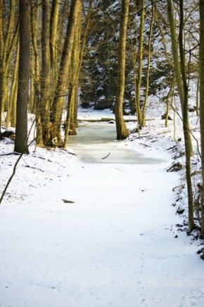 Královna zima - Tající potok za odpoledního slunka
