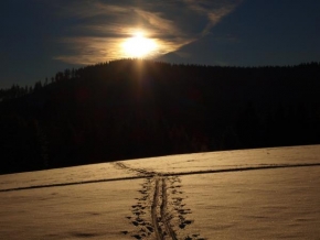 Královna zima - Běžecká stopa vedoucí do záře slunce