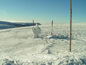 Královna zima - Snehový muz