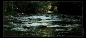 Voda je živel - River