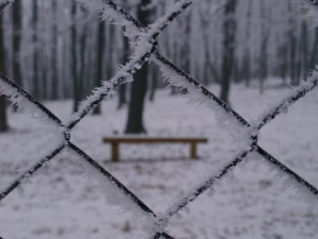 Královna zima - Za plotem 1
