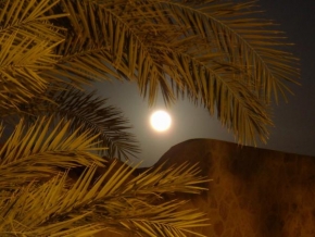 Po setmění - Měsíc mezi palmami