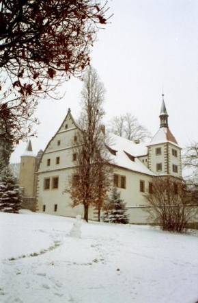 Královna zima - Zima na zámku