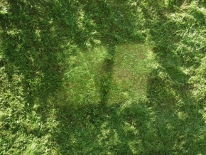 Barevná abstrakce - Okno v trave