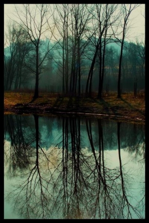 Stromy - Zrcadlení