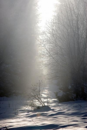Královna zima - Svetlo v hmle