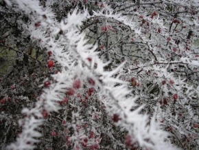 Blanka Skalníková - Krása zimy 2