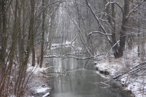 Královna zima - řeka v zimě