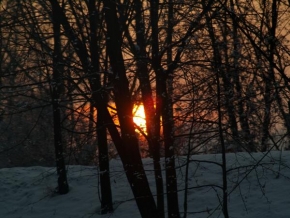 Královna zima - Slunce za stromy