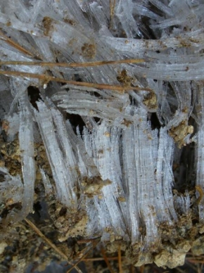 Královna zima - Jehlový led