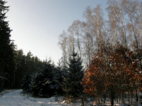 Pavel Karez - Zimní odpoledne